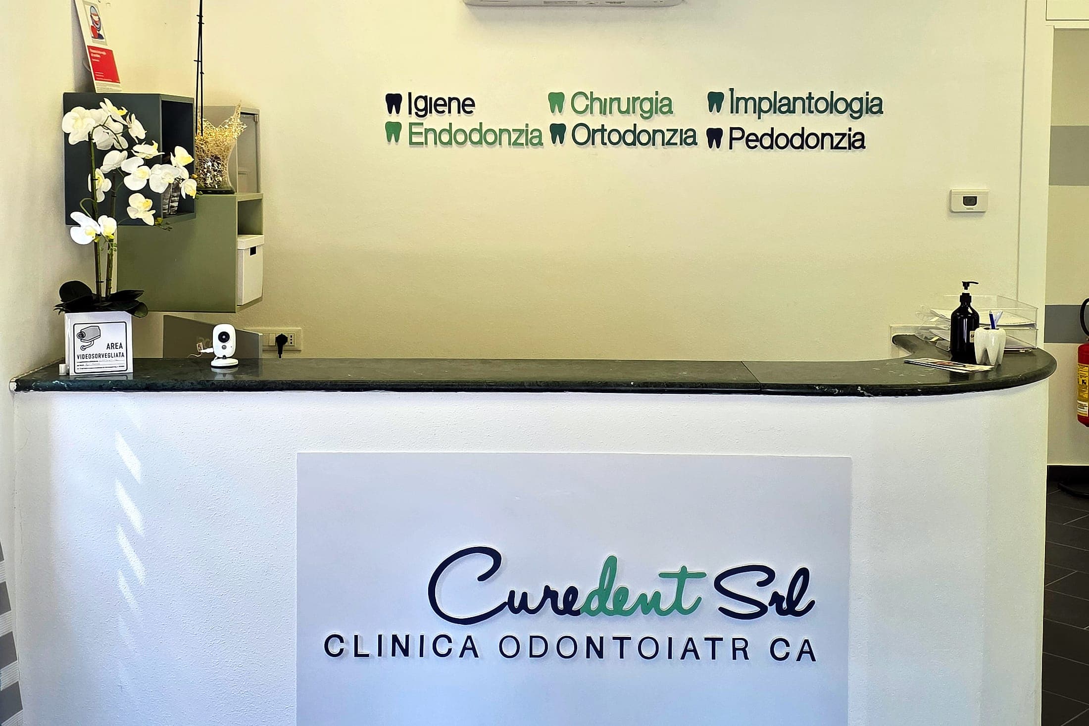 Il team di Curedent in piedi davanti all'accoglienza